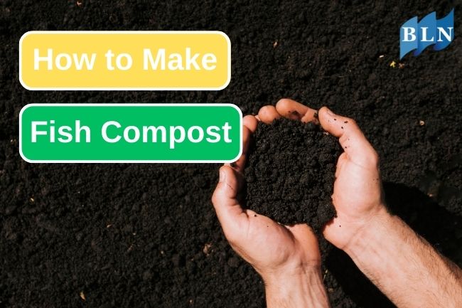 Learn How to Make Fish Compost At Home